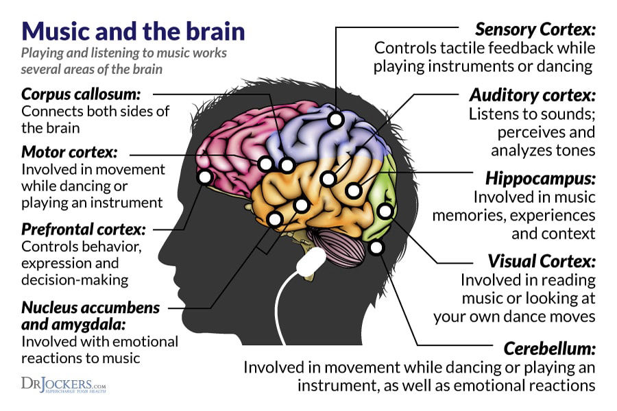 https://www.guardiannurses.com/music-and-the-brain-listen-closely/